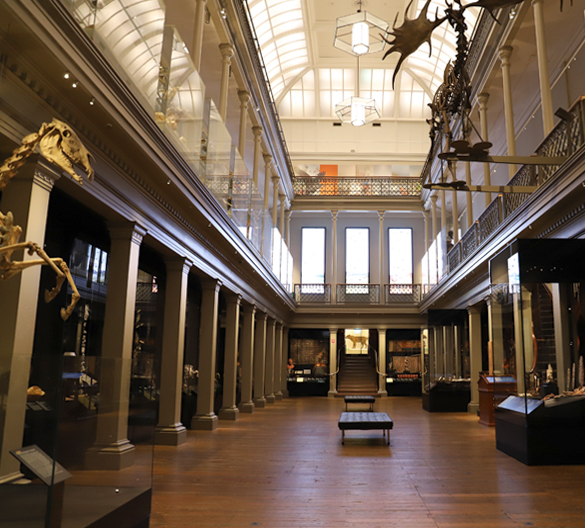 Australian Museum, recent project by Torvac Solutions