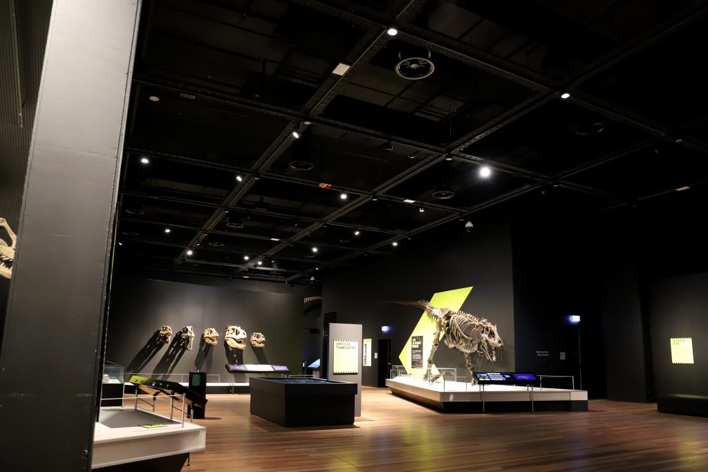 Project Discovery – New Exhibition Hall